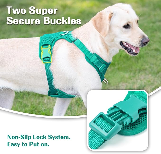 No Pull Dog Harness for Small Medium Large Dogs - Adjustable 2 Layer Mesh Dog Vest with Dual Clip, Escape Proof, Quick Release, Lightweight Breathable Mesh for Walking Hiking (MARRS Green,XL)