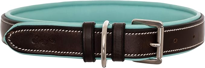 Exion Geniun Leather Dog Collar Designer Stitched Soft Leather Padded- Suitable for Small Medium Large X-Large Dogs for Walking Running- Havana with Sky Blue Padding