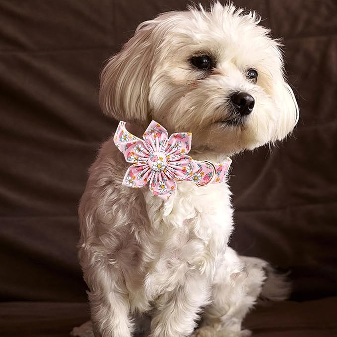 Lionheart glory Dog Collar Flower Collar Pink Dog Collar with Flower Spring Summer Cute Collar Dog Female Soft Durable Adjustable Dog Collars for Medium Dogs, B:Strawberries