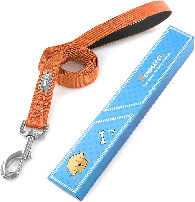 Basic Dog Leashes 6 FT Padded Handle Nylon Dogs Leashes for Medium Dogs Orange