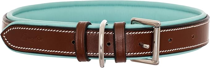 Exion Geniun Leather Dog Collar Designer Stitched Soft Leather Padded- Suitable for Small Medium Large X-Large Dogs for Walking Running- Oak Brown with Sky Blue Padding