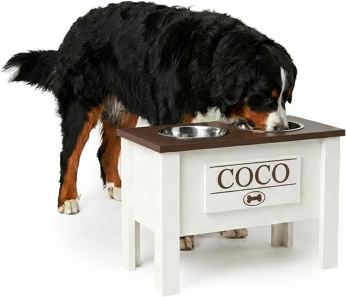 GTW Personalized Elevated Dog Bowl Stand for Large, Medium, Small, X-Small Dogs - Stainless Steel Food and Water Bowls - Raised Dog Dish (X-Large, Brown)