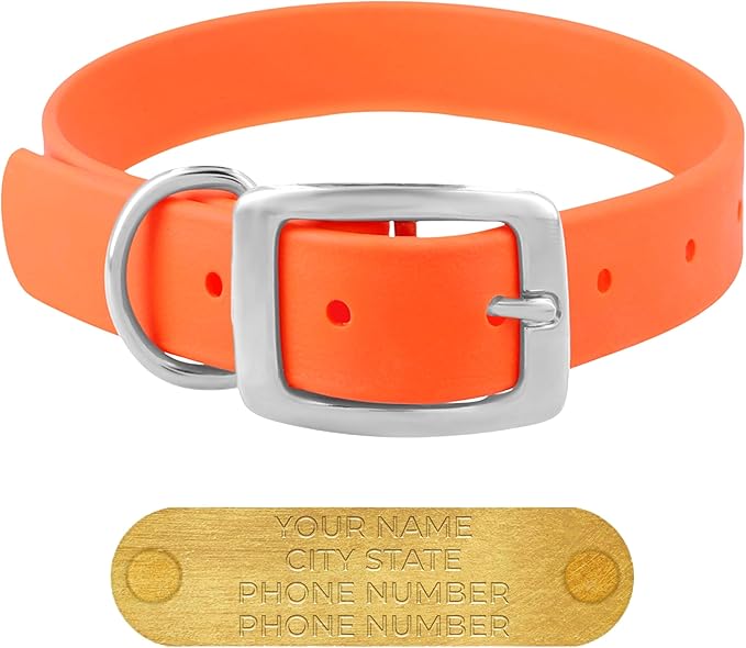 Regal Dog Products Large Orange Waterproof Dog Collars with Custom Engraved Name Plate | Vinyl Coated, Anti, Easy to Clean Personalized Biothane Dog Collar - Other Sizes for Small & Medium Dogs