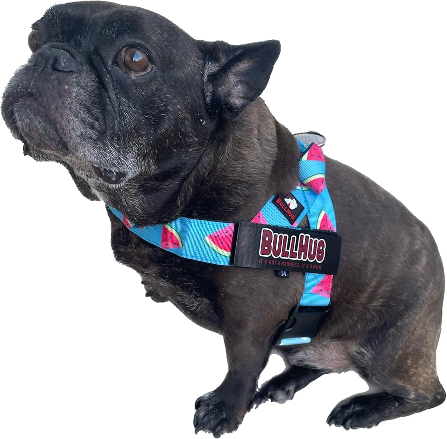 BULLHUG Adjustable Dog Harness– No Pull, No Choke – for English Bulldogs, French Bulldogs, Pugs & Broad-Chested Breeds – Easy, Safe Walks (Watermelon, XS)