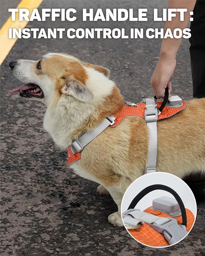 TagME No Pull Dog Harness with 2 Leash Clips,Lightweight & Visible for All-Day Walking,No Choke Pet Vest Includes AirTag Holder for Medium Dogs,Flare Orange