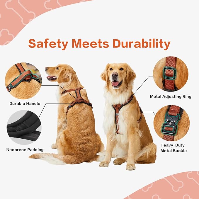 PawsPassion Dog Harness for Large Dogs, No Pull Dog Harness Easy Walk with Metal Hardware, Ergonomic Y-Shaped Design, Soft Padding, Padded Handle, Durable High-Tensile Nylon (Canyon Red, L)
