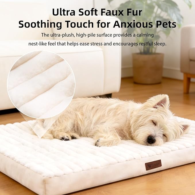 Orthopedic Dog Bed with Firm High-Density Egg Crate Foam Mattress,Machine Washable Cover & Non-Slip Bottom for Small Breeds & Toy Dogs (Beige, 23" L x 17" W x 3" H)