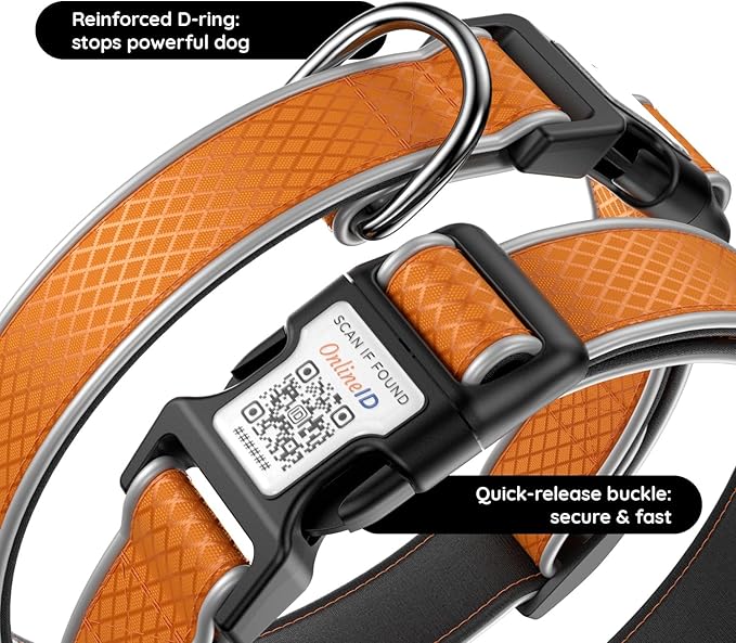 Reflective Dog Collar with Waterproof tag Holder & Anti-Lost QR Code | Ultra-Durable | Soft Padded | Safety Locking Buckle | Fit Large Dogs (Orange L(15.7"-23.6"))