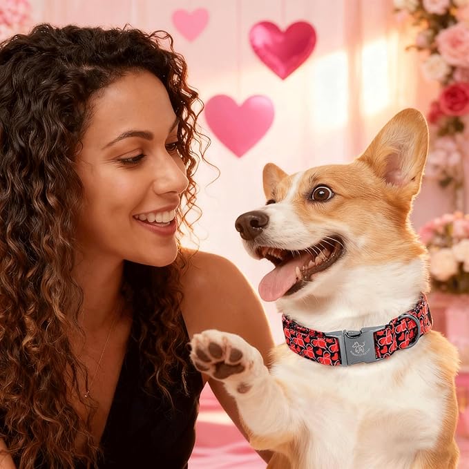 Elegant little tail Valentine's Dog Collar - Red Heart Dog Collars Bowtie Pet Collars with Sturdy Metal Buckle Puppy Adjustable Collar for Small Dogs
