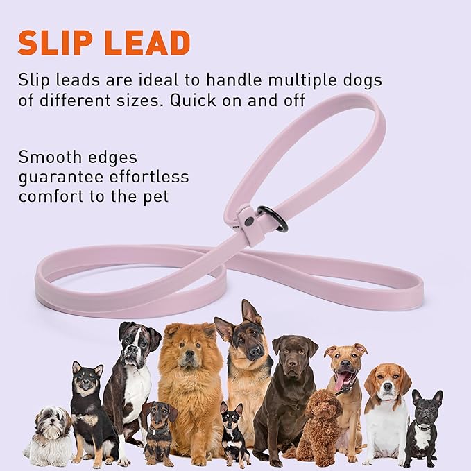 Dogline Biothane Slip Dog Leash - for Small, Medium and Large Dogs - Odor Free Slip Lead, Heavy Duty and Durable Material Kennel Lead - Pastel Purple - 5ft L x 5/8in W