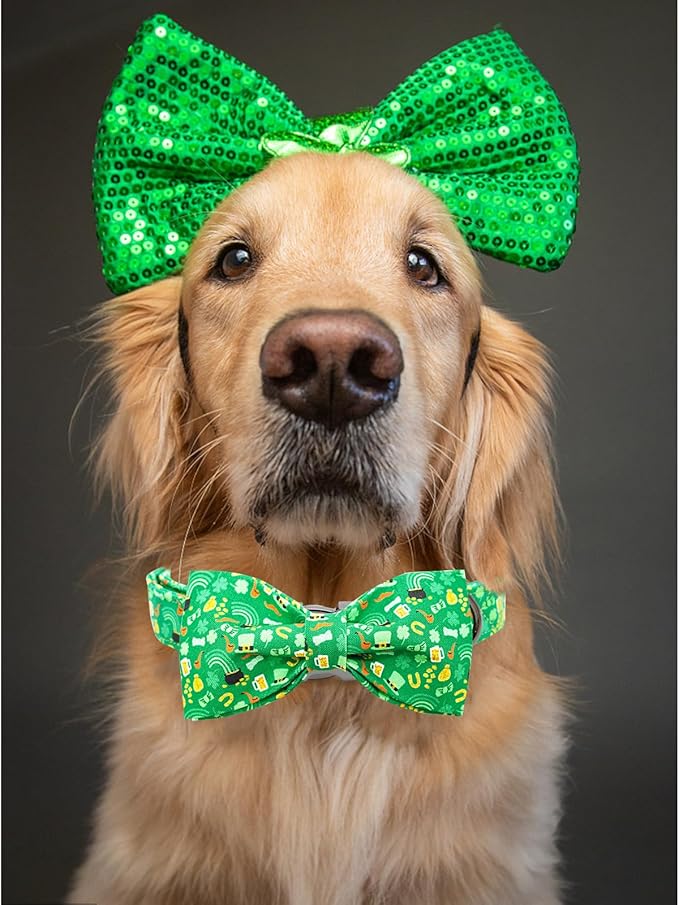Lionheart Glory St. Patrick's Day Dog Collar for X-Small Dogs - Adjustable Green With Lucky Clover Shamrock and Bowtie