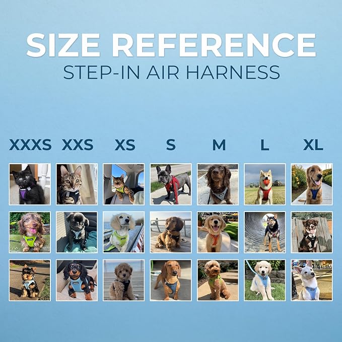 Best Pet Supplies - All Weather Mesh/Plush, Reflective, No Pull Harness for Small, Medium Dogs, Cats - Secure with Hook & Loop Fastener, Buckle, Double D-Rings - Black/Red Trim, M
