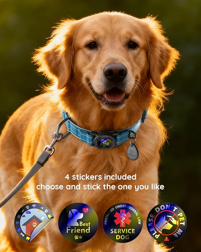 Upgrade Airtag Dog Collar,with IPX8 Waterproof AirTag Holder | Reflective Ultra-Durable | Soft Padded | Lock Buckle | Heavy Duty | Fit Small Medium Large Dogs（Blue，XL(19"～27")）