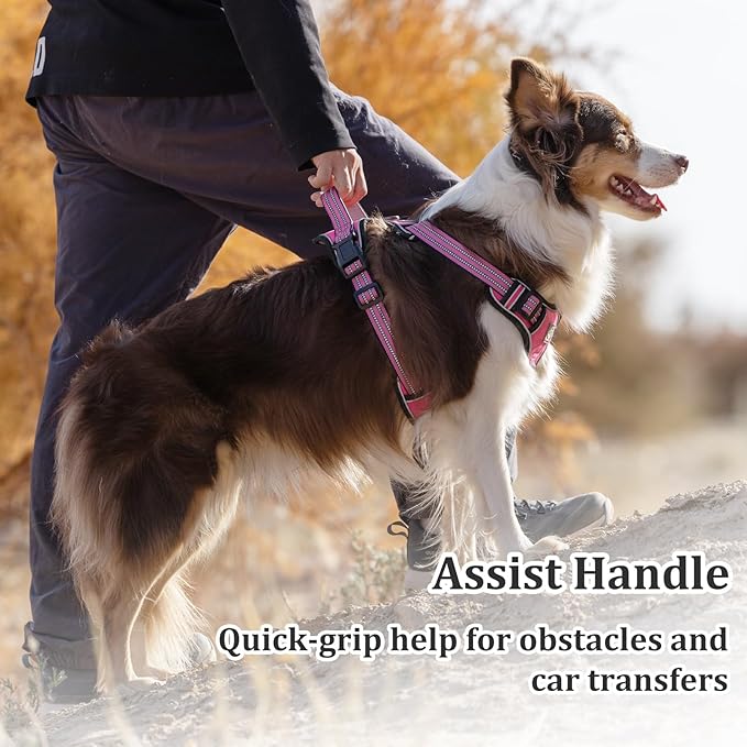 Vest Harness for Dogs - Reflective Adjustable Padding with Easy-On Design & Leash Attachment(S, Hot Pink)
