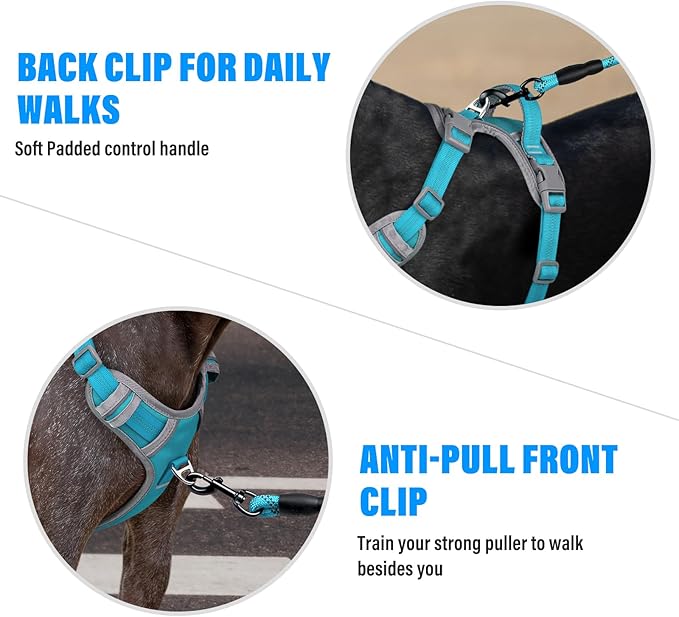 Plutus Pet No Pull Dog Harness, Release at Neck, Reflective Adjustable Dog Vest Harness, Easy Control Handle for Walking, for Small Medium Large Dogs, Cyan, M