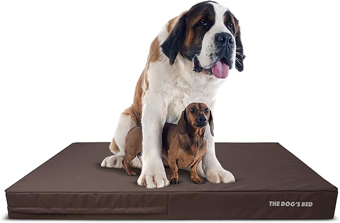 The Dog’s Bed Orthopedic Memory Foam Dog Bed Mattress, Oxford Fabric, Brown with Brown Trim, XXXL, 6-Inch