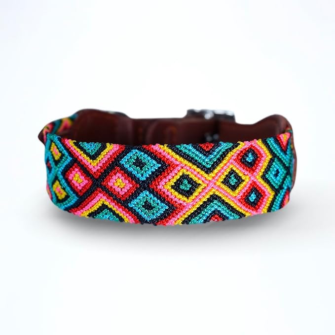 Eternia Premium Leather Dog Collar - Adjustable Handcrafted Collar for Small to Large Dogs (Green/Red, S)