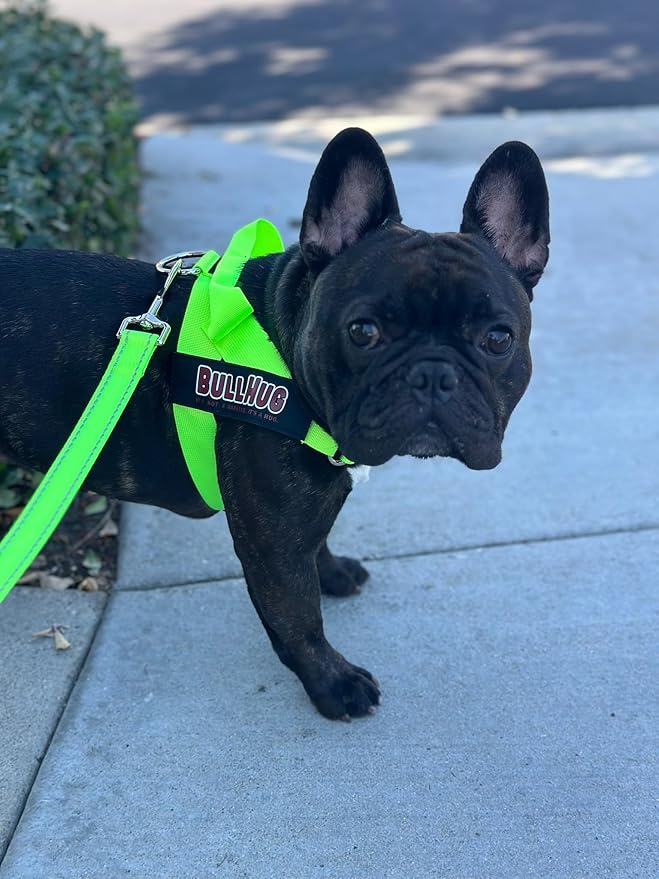 BULLHUG Adjustable Dog Harness– No Pull, No Choke – for English Bulldogs, French Bulldogs, Pugs & Broad-Chested Breeds – Easy, Safe Walks (NEON Green, Large)
