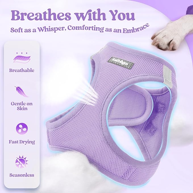 rabbitgoo Dog Harness Small Medium Sized and Leash Set, Step in Soft Light Puppy Vest, Breathable Mesh Pet Harness, Reflective for Safe Easy Walking, Light Purple L