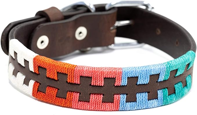 Gaucho Goods Leather Dog Collar - Zephyr (M)