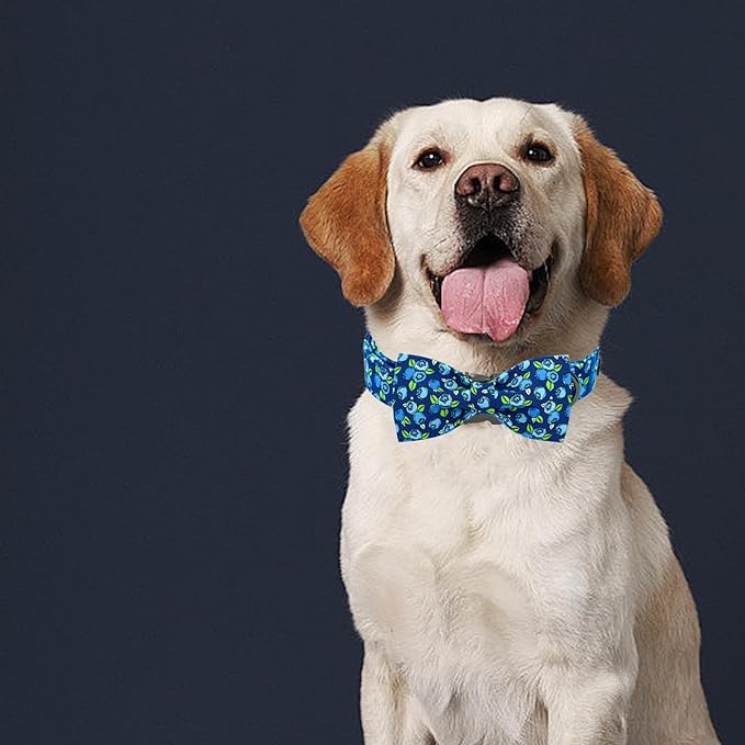 Elegant little tail Dog Collar- Cute Blueberry Dog Collar with Bow for Medium Dogs, Male Adjustable Cotton Summer Pet Bow Holiday Puppy Collar for Small Medium Large Dogs