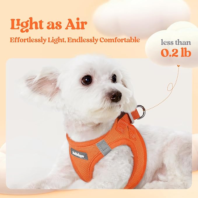 rabbitgoo Dog Harness Small Sized and Leash Set, Step in Soft Light Puppy Vest, Breathable Mesh Pet Harness, Reflective for Safe Easy Walking, Orange M