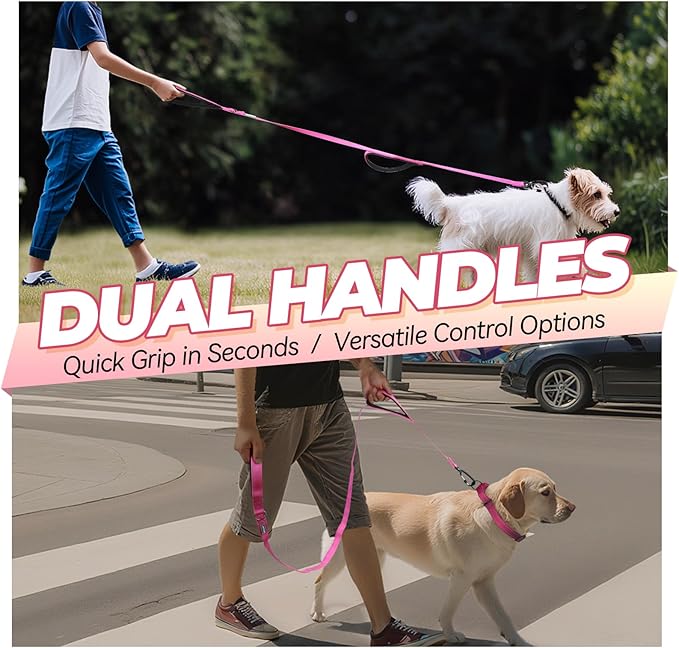 VIVAGLORY Dog Leash Lighthook Double Handle Dog Leash with Traffic Handle & Locking Carabiner for Walking & Training, Traffic Control Lightweight Carabiner for Puppy Pet, 4ft x 1/2in, Pink