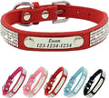 Personalized Dog Collar with Rhinestone Name Tag - Glitter Polyester Collar Adjustable [Red, XS]
