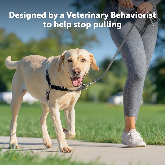 PetSafe Easy Walk Harness for Dogs - Pull-Free Walks - Patented Martingale Loop Design - Front Chest Leash Attachment - Comfort Straps - Breathable Harness Design - Large, Red/Black