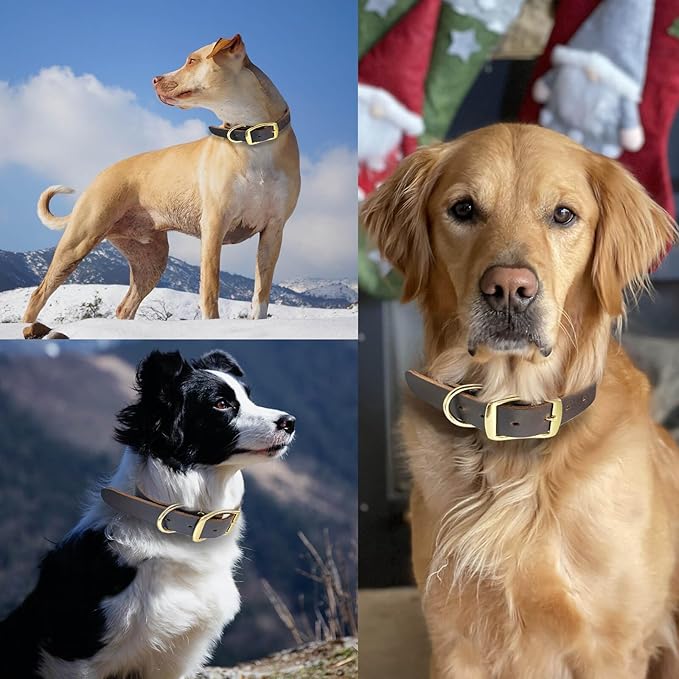 Leather Dog Collar Heavy Duty Hardware Dog Collars Full Grain Ultra Soft and Comfort Genuine Cowhide Metal Buckle Thick Belt Collar for Small Medium Large Pets (Large (16-22" Neck))