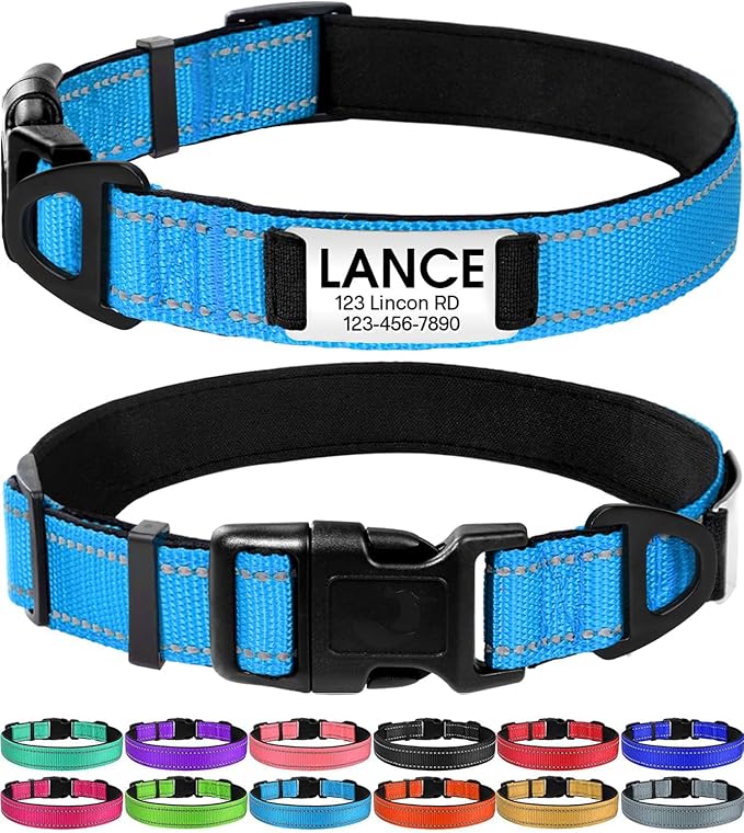 Joytale Personalized Dog Collars with Engraved Name Plate, Silent No Jingle Custom Nylon Collar with Fixed ID Tag, Reflective Soft Neoprene Padded Breathable for XLarge Dogs, Sky Blue