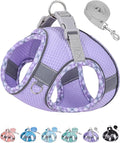 Petank Dog Harness for Small Medium Dogs No Pull, Puppy Harness and Leash Set, Step in Dog Harness for Walking, Running, Training (Purple, L)