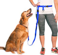 The Buddy System Hands Free Dog Leash, Adjustable Leash for Running, Jogging, Training and Service Dogs, Great for Small, Medium and Large Dogs, Made in USA (Royal Blue, Regular Belt (22"- 40" Waist))