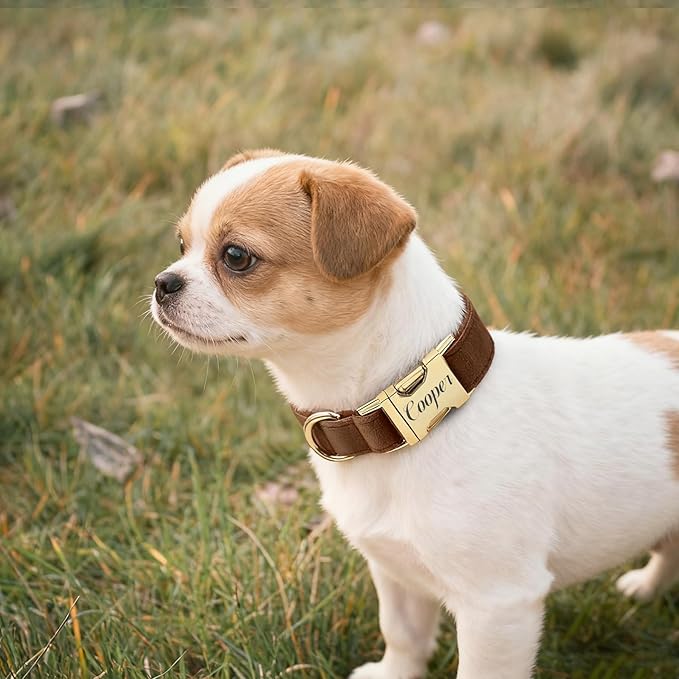 Personalized Velvet Dog Collar with Name & Phone Custom Dog Collar Personalized Name and Phone Number, Custom Collar Leash for Dogs, Engraved Metal Buckle Collar (Style - A)