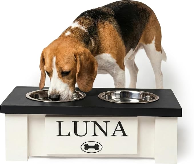 GTW Personalized Elevated Dog Bowl Stand for Large, Medium, Small, X-Small Dogs - Stainless Steel Food and Water Bowls - Raised Dog Dish with Internal Storage (X-Small, Black)