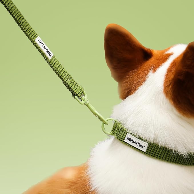 5 FT Stylish Dog Leash, Soft Dog Leashes with Comfortable Padded Handle, Metal Carabiner Clip, Strong No Pull Pet Leash for Small Medium Dogs for Walking, Shopping and Running