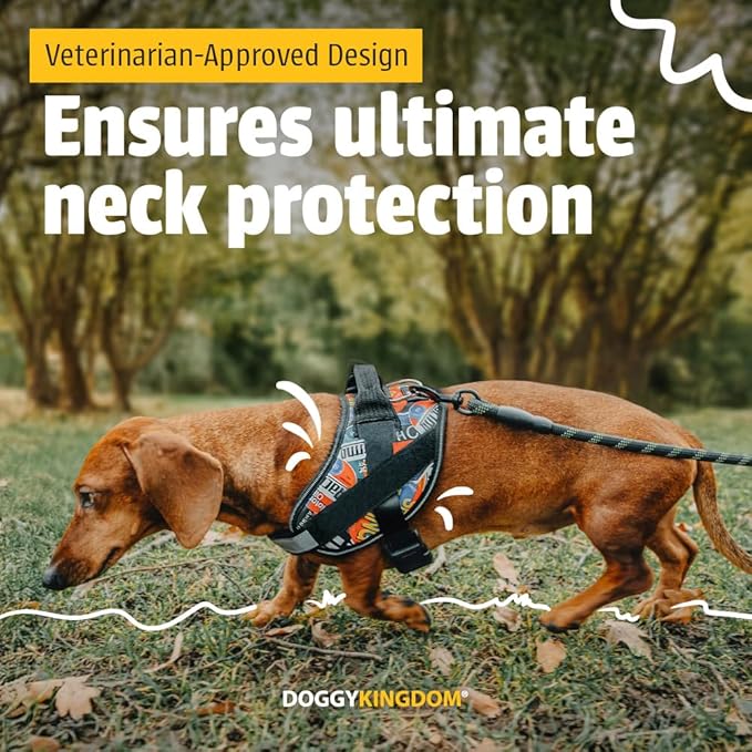 Non Pull Dog Harness with Patch Panels and Handle, Adjustable, Reflective, No Choke, Heavy Duty Easy On Service Dog Vest Harnesses for Medium Large Small Sized Dogs - Black, XS