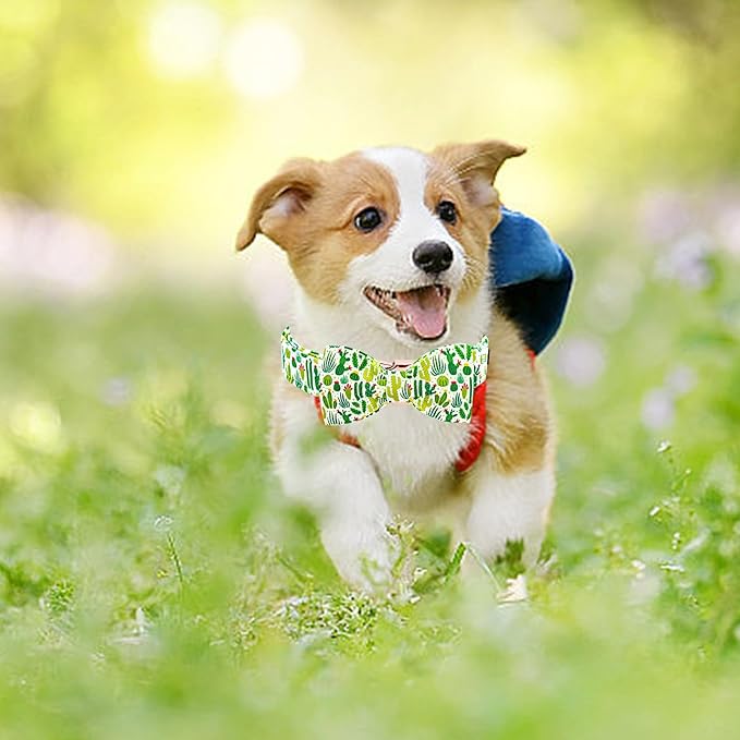 Lionheart glory Dog Bow Collar Green Cactus Print Collars for Small Dogs,Spring Summer Cute Dog Collar with Bowtie Pet Collars Bows Pet Gift