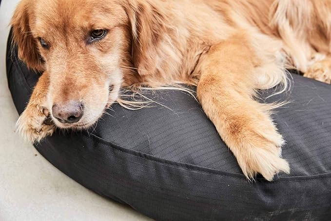 K9 Ballistics Tough Round Nesting Pillow Dog Bed - Removable Cover, Washable, Durable & Water Resistant Indoor/Outdoor Bed - Small, Blue Quartz