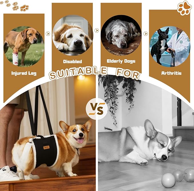 Dog Lift Harness Sling for Large Dogs - Adjustable Rear Leg Support with Padding & No-Slip Back Fixed Buckle, Hip Dysplasia/ACL/TPLO Surgery Recovery Aid, Dog Harness for Injured,Disabled/Senior Dogs