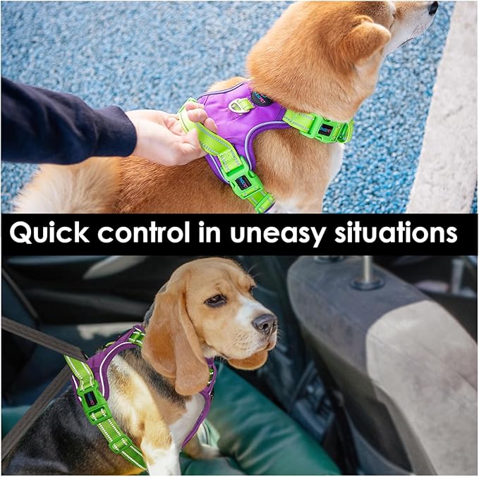 PHOEPET No Pull Dog Harness, Unique Colors Reflective Adjustable Dog Vest, with Soft Training Handle Metal Clips for Small Medium Large Dogs (Purple Base & Green Straps,S)