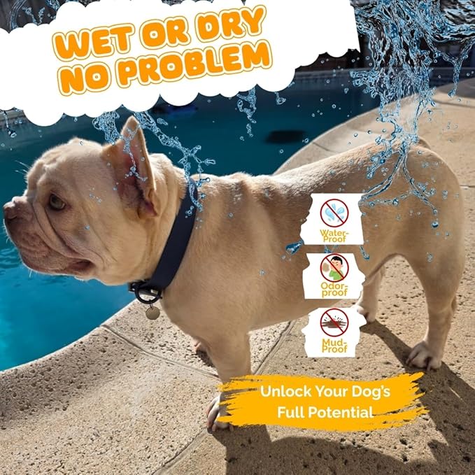 Waterproof Dog Collar, Soft Comfortable Pet Collars, Adjustable Odor Proof Heavy Duty Dog Collars Easy to Clean for Large, Medium Small Dogs by Bee N Buu (Blue, Small (length8-12, Width 3/4"))