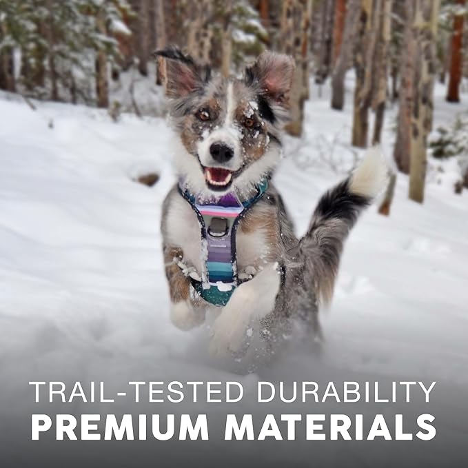 Embark Adventure Dog Harness, Reflective Trim No Pull Dog Harness for Large Dogs - Military Grade Nylon, Front Clip Dog Harness with Gel Lined Handle. Soft & Padded Puppy Dog Harnesses for Any Breed