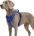 Funfox Dog Harness No Pull, Adjustable Pet Vest Harness, Super Soft Material with Vertical Handle Easy Control, Reflective Night Walking, 2 Leash Clips for XLarge Dogs, Blue, XL