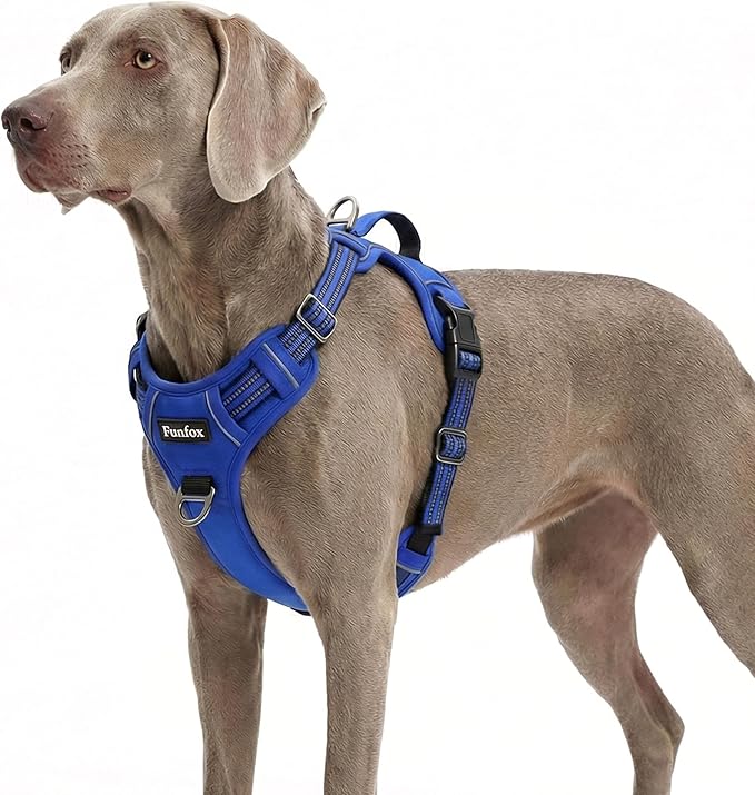 Funfox Dog Harness No Pull, Adjustable Pet Vest Harness, Super Soft Material with Vertical Handle Easy Control, Reflective Night Walking, 2 Leash Clips for XLarge Dogs, Blue, XL