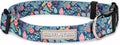 Lucky Love Dog - Adjustable Dog Collar with Easy Click Buckle for Large Ones, Durable, & Comfortable for Male & Female Dogs, Pet Collar for Puppies & Adult Dogs - Sweet Holiday, X-Large