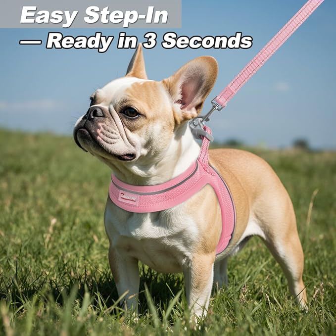 Dog Harness and Leash Set,Step in Small Sized Dog Harness,Soft Mesh,No-Chock,Reflective Adjustable,Secure with Hook & Loop Fastener,Puppy Vest for Small,Medium Dogs(Baby Pink,XS)