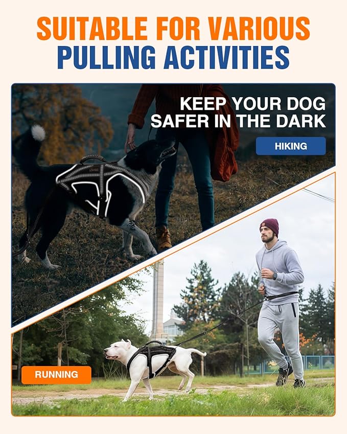 Dog Pulling Harness for Running, Skiing, Biking & Weight Pulling – Adjustable Sled Dog Harness with Leash & Waist Leash Attachment for Medium & Large Breeds (XL)