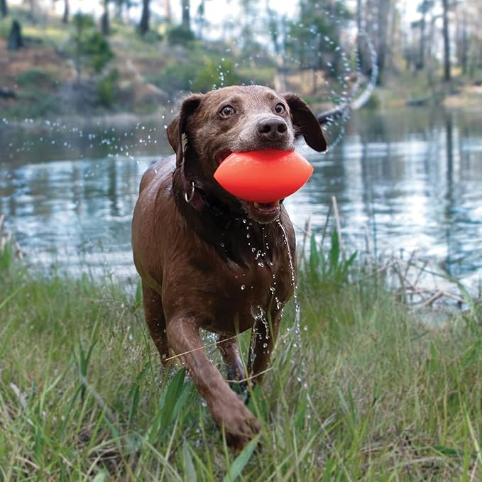 Ruff Dawg Football XL Dog Toy – Bouncy, Floating Fetch Toy for Aggressive Chewers – Ideal for Outdoor Play, Exercise & Teething Relief – Neon Colors for High Visibility