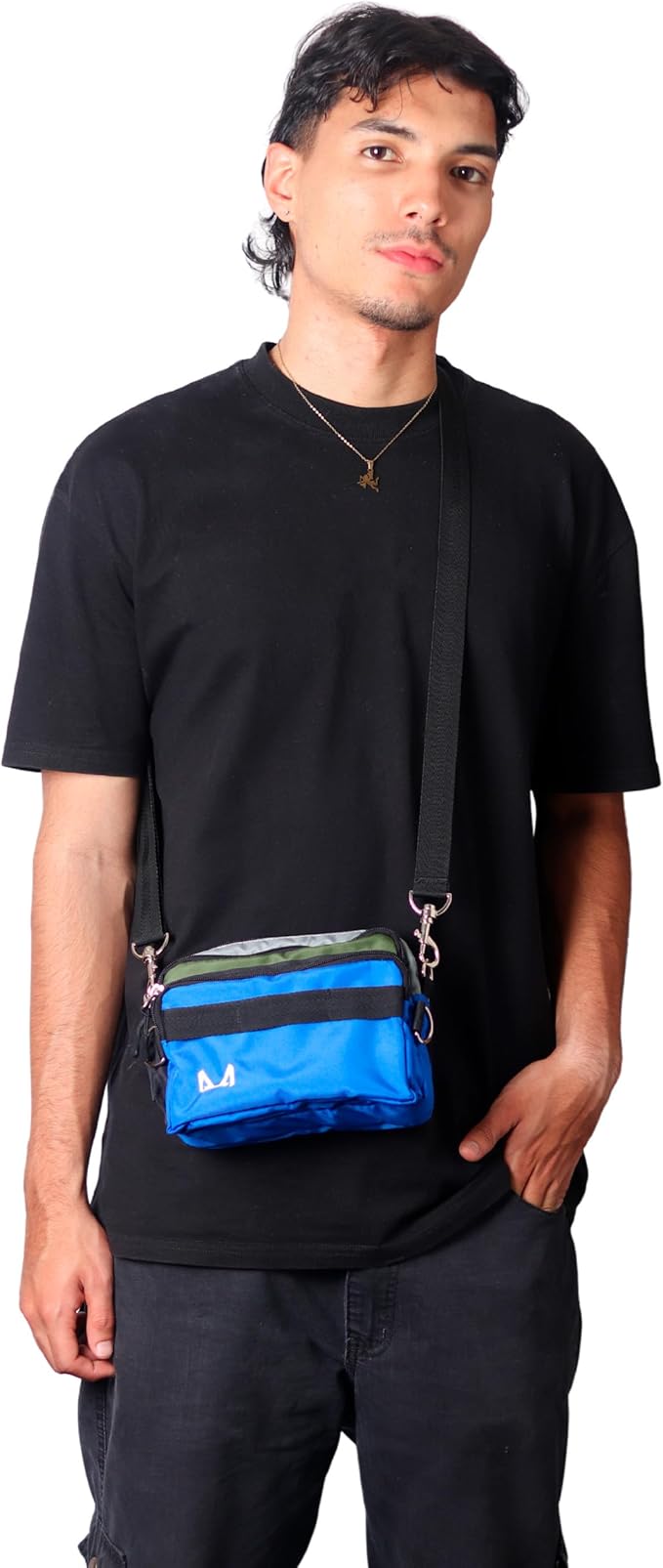 Dog Training Fanny Pack/Treat Bag with Removable Insulated Sleeve and Multiple Compartments, Color Black (Royal Blue)